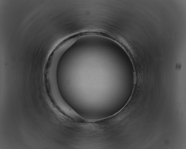 X0000091691124200708301535