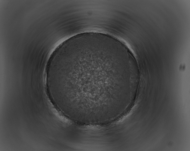 X0000091691125200708301535