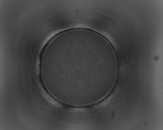 X0000091691126200708301535