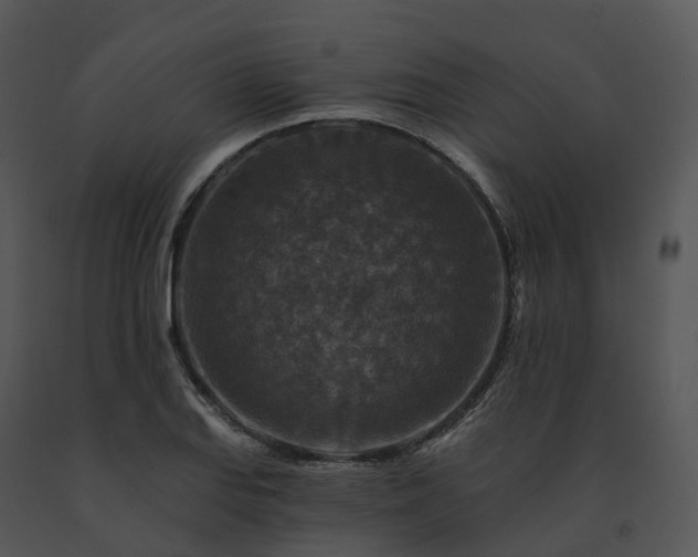X0000091691127200708301535