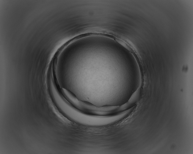 X0000091691128200708301535