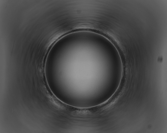 X0000091691129200708301535