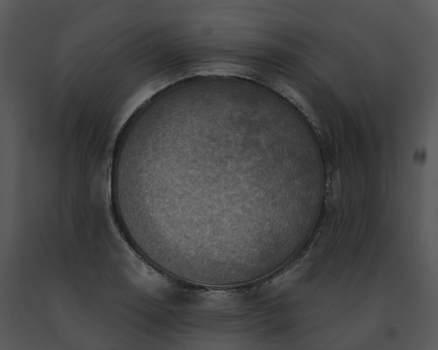 X0000091691130200708301535