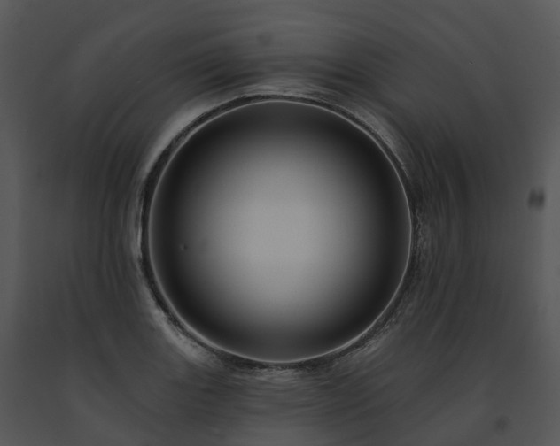 X0000091691131200708301535