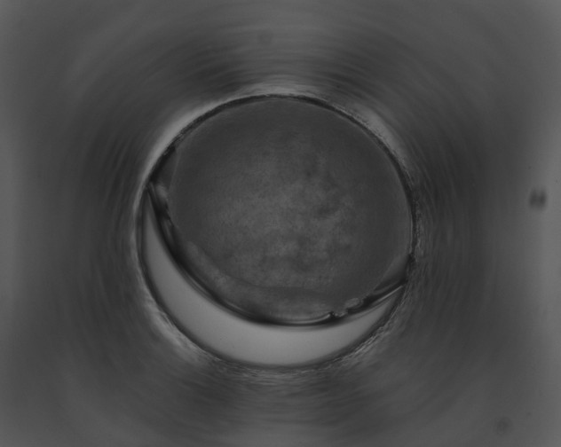 X0000091691132200708301535
