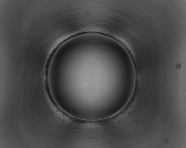 X0000091691133200708301535