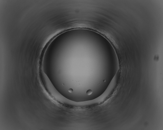 X0000091691134200708301535