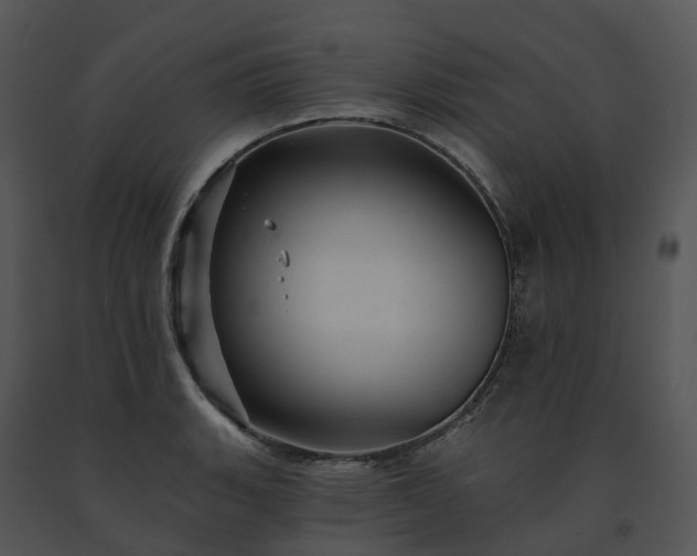 X0000091691135200708301535