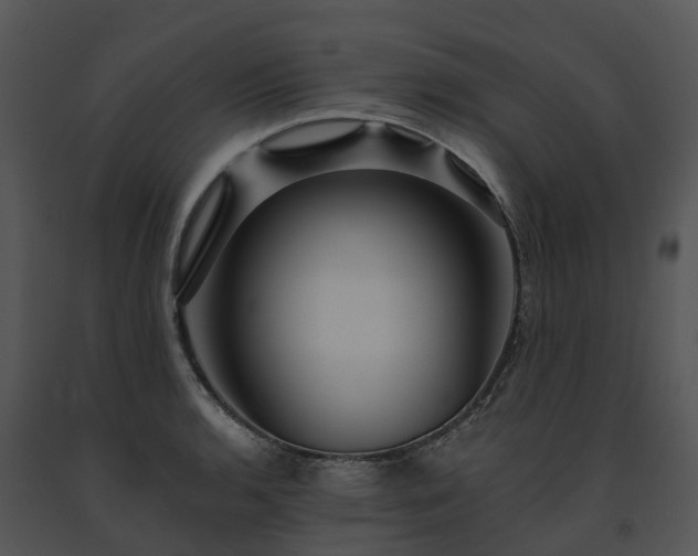 X0000091691136200708301535