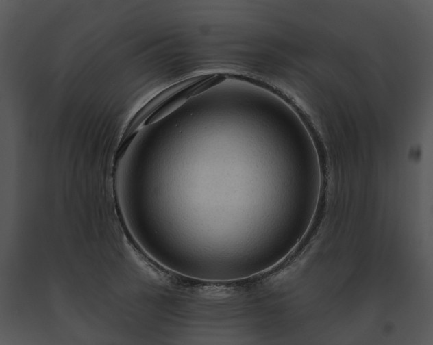 X0000091691137200708301535