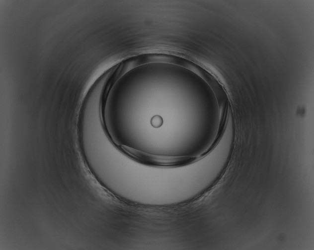 X0000091691138200708301535