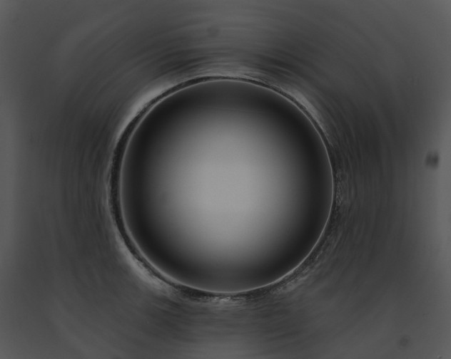 X0000091691139200708301535
