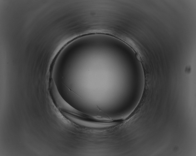 X0000091691140200708301535