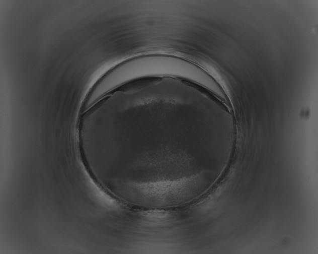 X0000091691141200708301535
