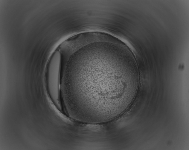 X0000091691142200708301535