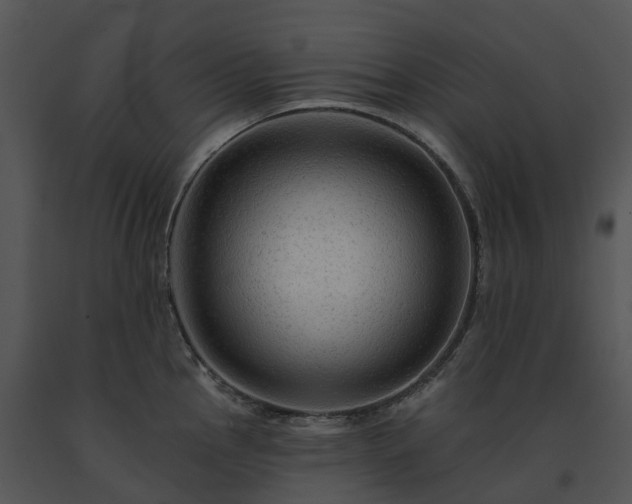 X0000091691145200708301535