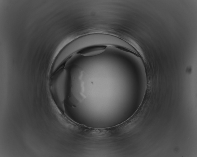 X0000091691146200708301535