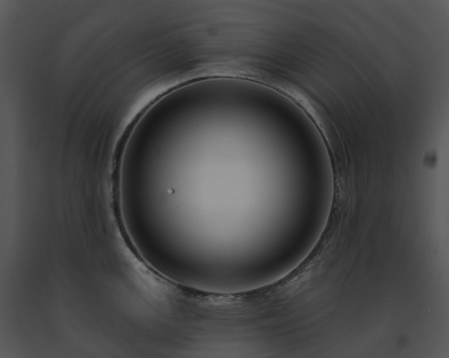 X0000091691147200708301535