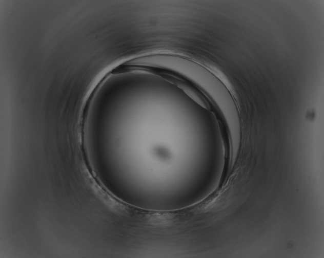 X0000091691148200708301535