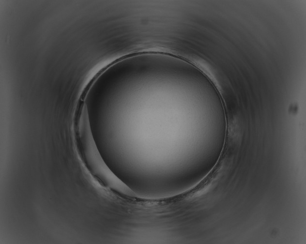X0000091691149200708301535