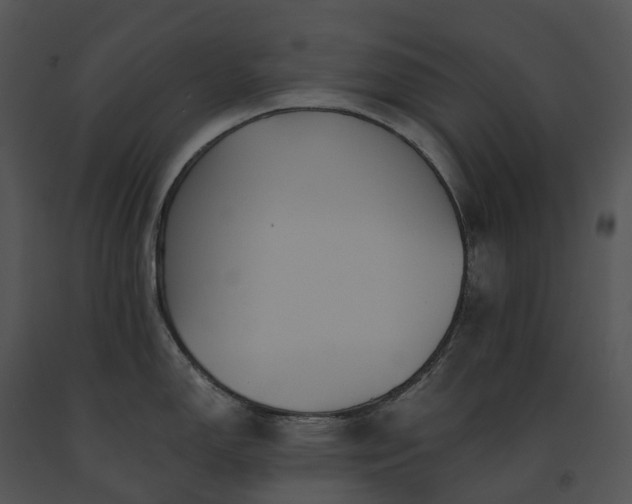 X0000091691150200708301535