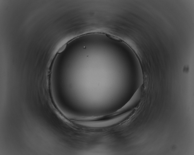 X0000091691151200708301535