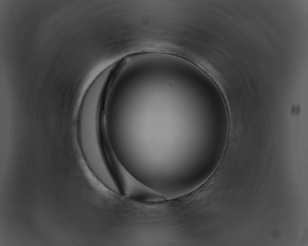 X0000091691152200708301535