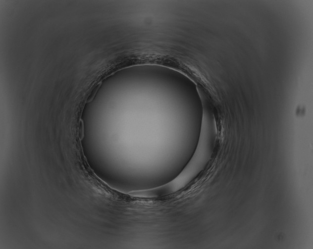 X0000091691153200708301534