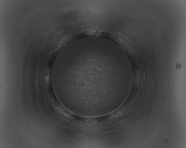 X0000091691154200708301534
