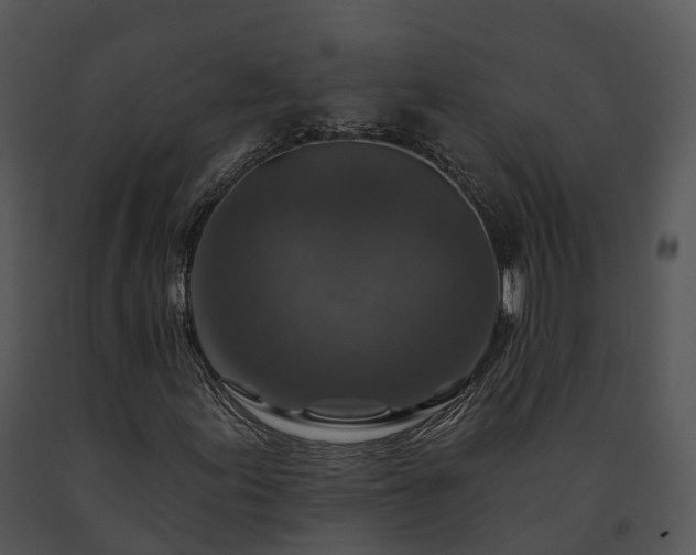 X0000091691155200708301534