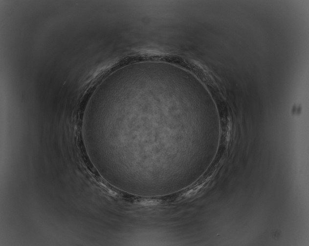 X0000091691157200708301534