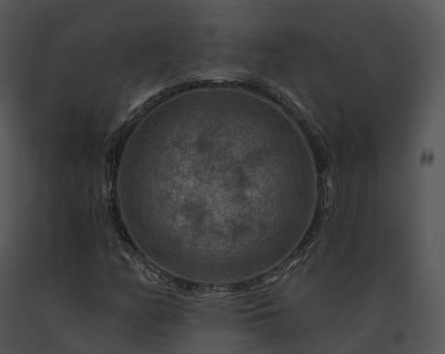 X0000091691158200708301534