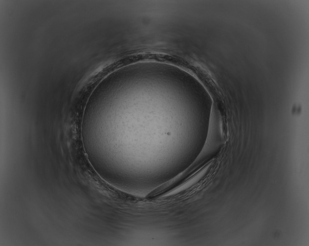 X0000091691159200708301534