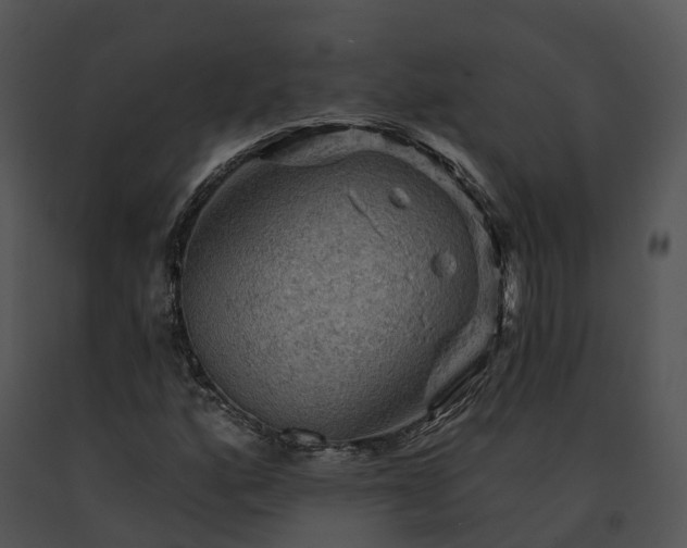 X0000091691160200708301534