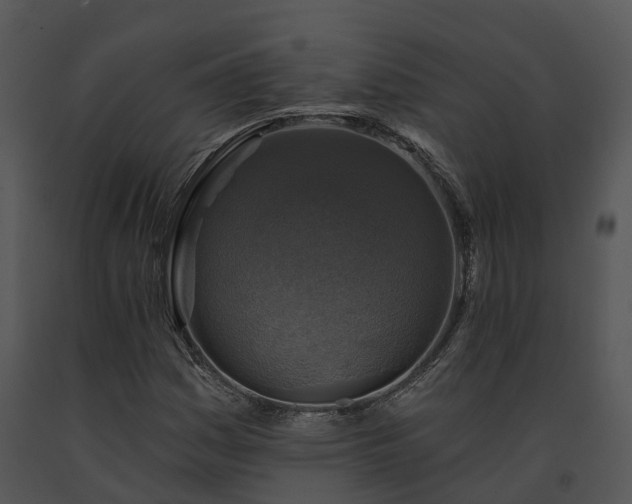 X0000091691161200708301534