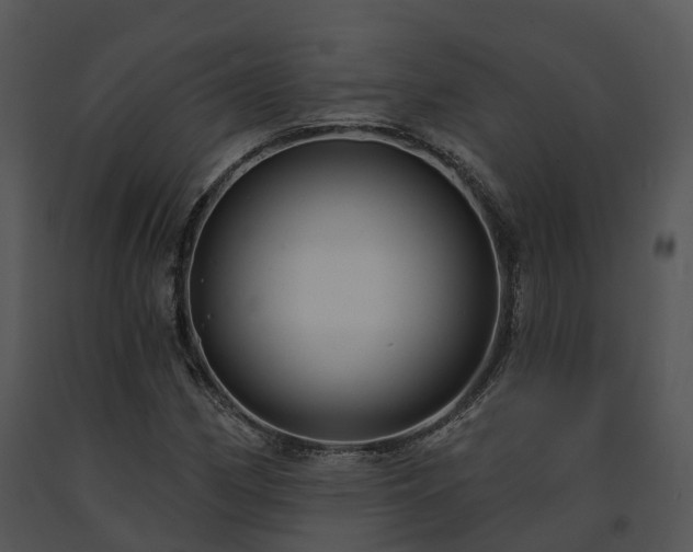 X0000091691162200708301534
