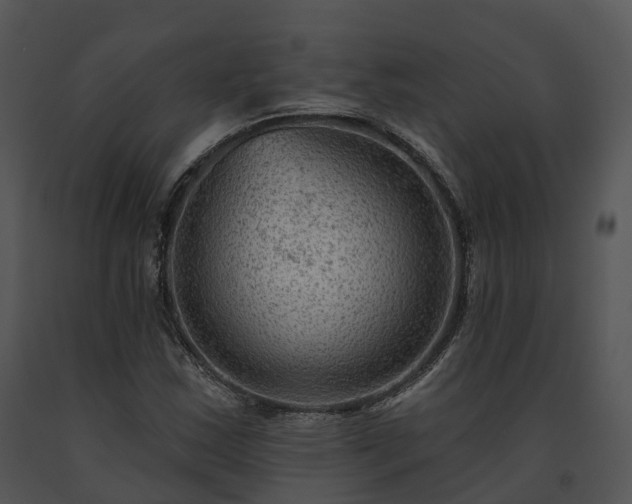 X0000091691163200708301534