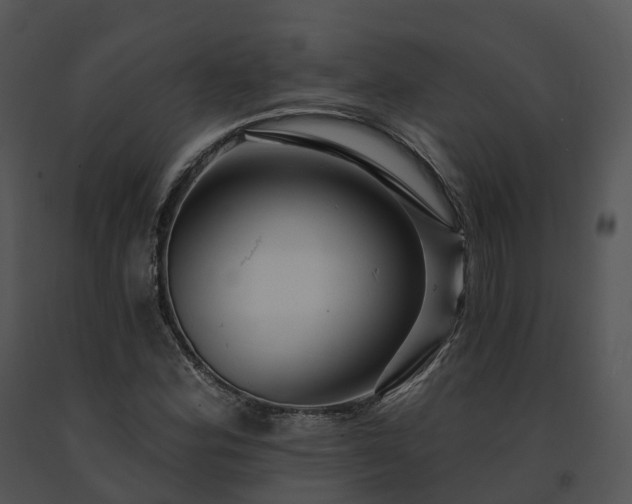 X0000091691164200708301534