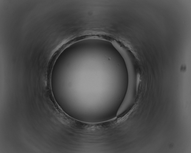 X0000091691165200708301534