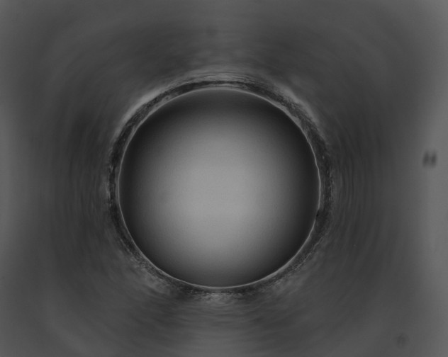 X0000091691166200708301534