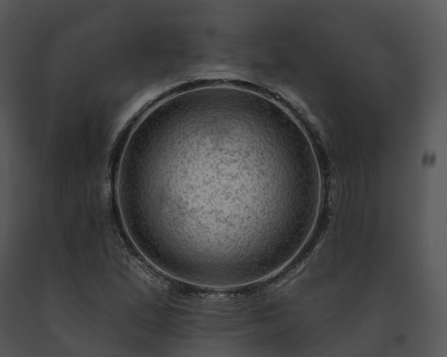 X0000091691167200708301534