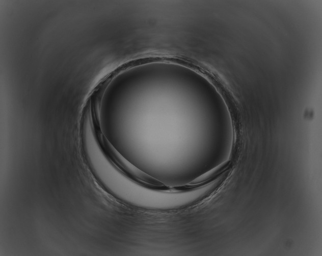 X0000091691168200708301534