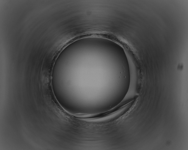 X0000091691169200708301534