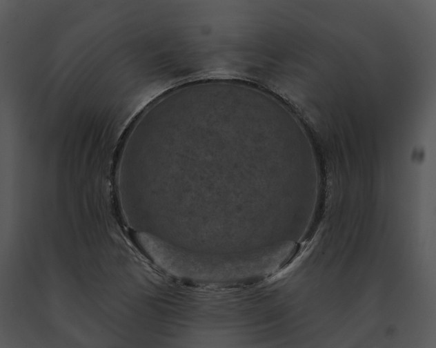 X0000091691170200708301534