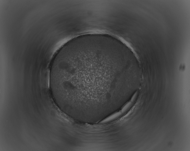 X0000091691171200708301534