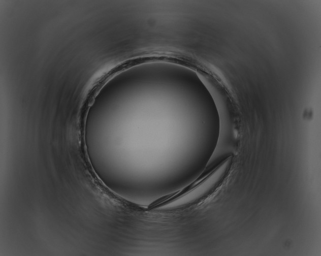 X0000091691172200708301534