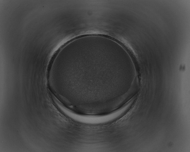 X0000091691173200708301534