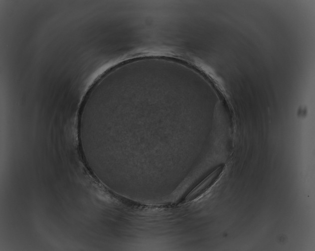 X0000091691174200708301534