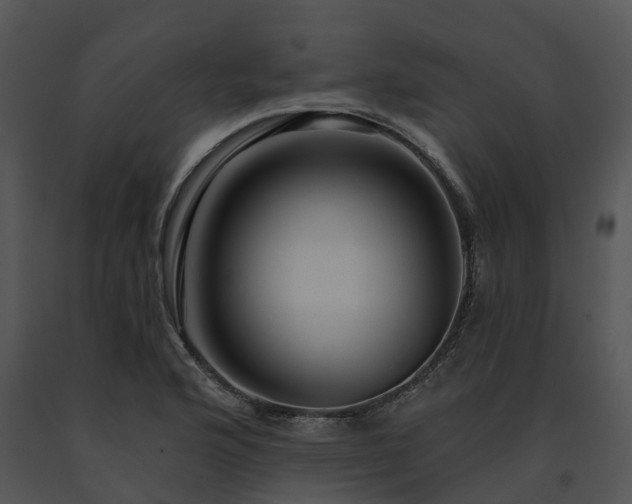 X0000091691176200708301534