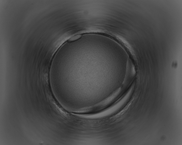 X0000091691177200708301534